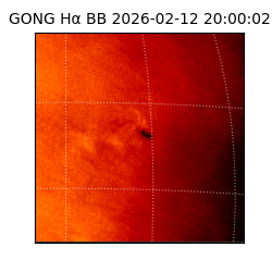 gong - 2026-02-12T20:00:02