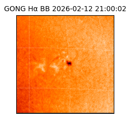 gong - 2026-02-12T21:00:02