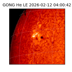 gong - 2026-02-12T04:00:42