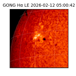 gong - 2026-02-12T05:00:42