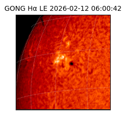gong - 2026-02-12T06:00:42