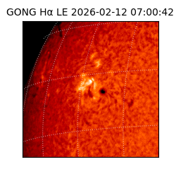 gong - 2026-02-12T07:00:42