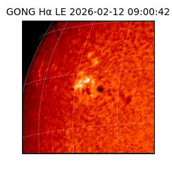 gong - 2026-02-12T09:00:42