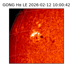 gong - 2026-02-12T10:00:42