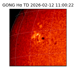 gong - 2026-02-12T11:00:22