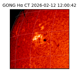 gong - 2026-02-12T12:00:42