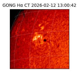 gong - 2026-02-12T13:00:42