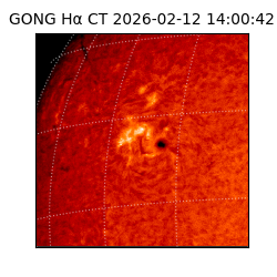gong - 2026-02-12T14:00:42