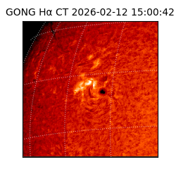 gong - 2026-02-12T15:00:42