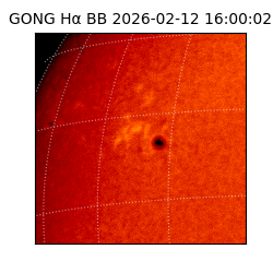 gong - 2026-02-12T16:00:02