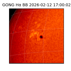 gong - 2026-02-12T17:00:02