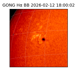 gong - 2026-02-12T18:00:02