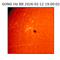 gong - 2026-02-12T19:00:02