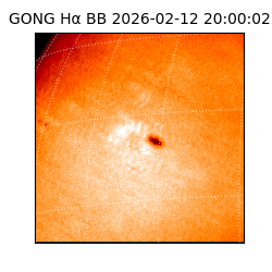 gong - 2026-02-12T20:00:02