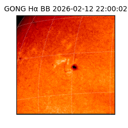 gong - 2026-02-12T22:00:02