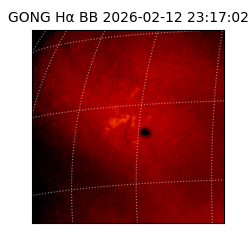 gong - 2026-02-12T23:17:02