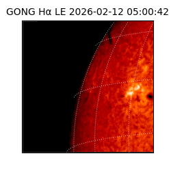 gong - 2026-02-12T05:00:42