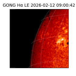 gong - 2026-02-12T09:00:42