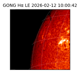 gong - 2026-02-12T10:00:42