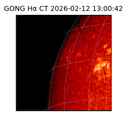 gong - 2026-02-12T13:00:42