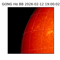 gong - 2026-02-12T19:00:02