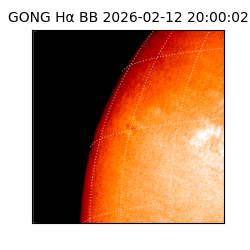 gong - 2026-02-12T20:00:02