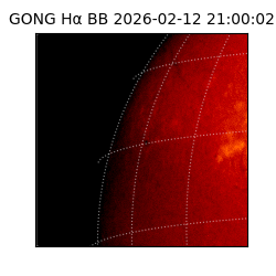 gong - 2026-02-12T21:00:02