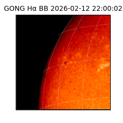 gong - 2026-02-12T22:00:02