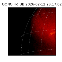 gong - 2026-02-12T23:17:02