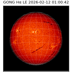 gong - 2026-02-12T01:00:42