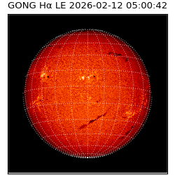 gong - 2026-02-12T05:00:42