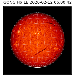 gong - 2026-02-12T06:00:42