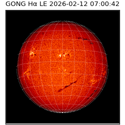 gong - 2026-02-12T07:00:42