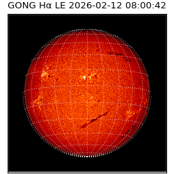 gong - 2026-02-12T08:00:42