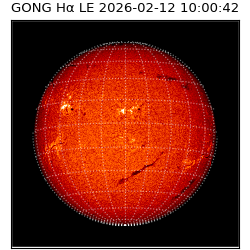 gong - 2026-02-12T10:00:42