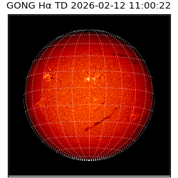 gong - 2026-02-12T11:00:22