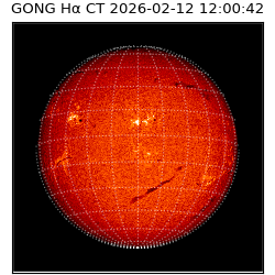 gong - 2026-02-12T12:00:42