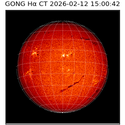 gong - 2026-02-12T15:00:42