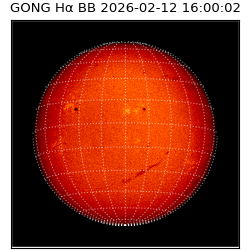 gong - 2026-02-12T16:00:02