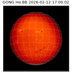 gong - 2026-02-12T17:00:02