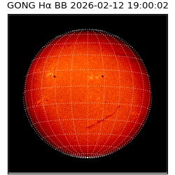 gong - 2026-02-12T19:00:02