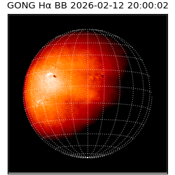 gong - 2026-02-12T20:00:02