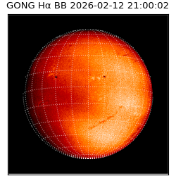 gong - 2026-02-12T21:00:02