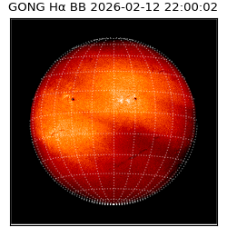 gong - 2026-02-12T22:00:02