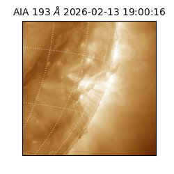 saia - 2026-02-13T19:00:16.835000