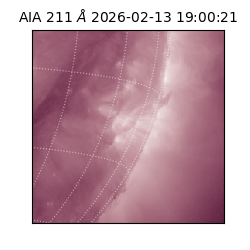 saia - 2026-02-13T19:00:21.625000