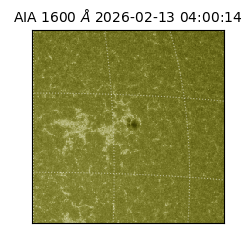 saia - 2026-02-13T04:00:14.125000