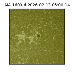 saia - 2026-02-13T05:00:14.125000