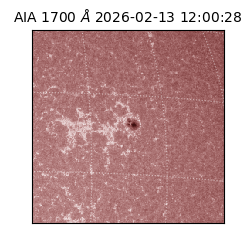 saia - 2026-02-13T12:00:28.721000