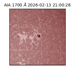 saia - 2026-02-13T21:00:28.749000